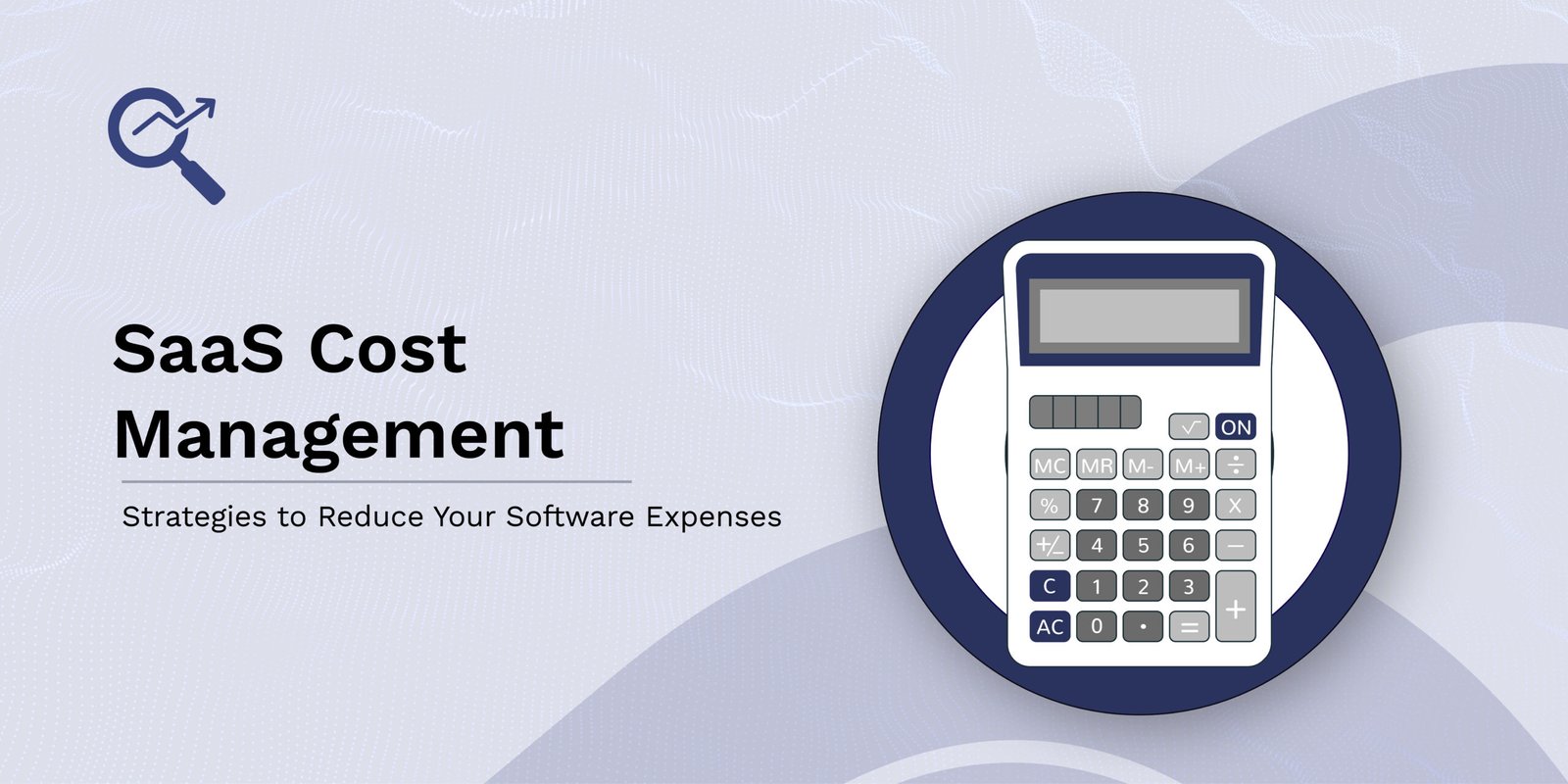 SaaS Cost Management