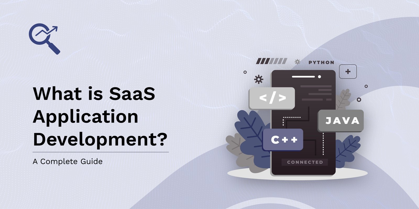 SaaS Application Development